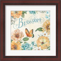 Framed 'Butterfly Bloom II' border=