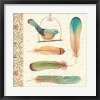 Feather Tales I Framed Print