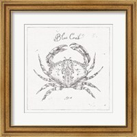 Framed 'Underwater Life IV' border=