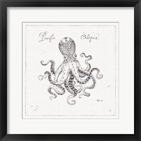 Underwater Life II Framed Print