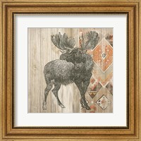 Framed 'Natural History Lodge Southwest VIII' border=