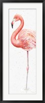 Gracefully Pink VII Framed Print