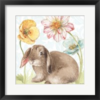 Spring Softies Bunnies III Framed Print