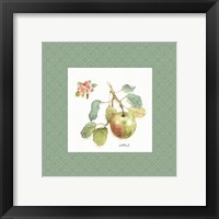 Framed 'Orchard Bloom I Border' border=