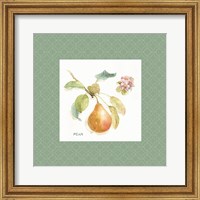 Framed 'Orchard Bloom II Border' border=