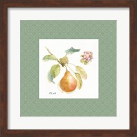 Framed 'Orchard Bloom II Border' border=