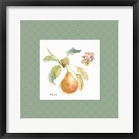 Framed 'Orchard Bloom II Border' border=