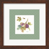 Framed 'Orchard Bloom III Border' border=