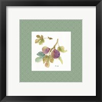 Framed 'Orchard Bloom III Border' border=