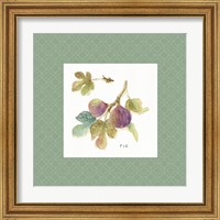 Framed 'Orchard Bloom III Border' border=