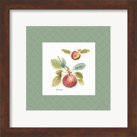 Framed 'Orchard Bloom IV Border' border=