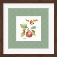 Framed 'Orchard Bloom IV Border' border=