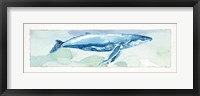 Sea Life VI Framed Print