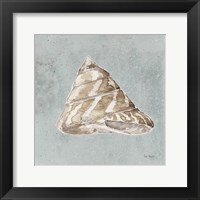 Sand and Seashells IV Framed Print