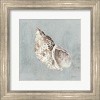 Framed 'Sand and Seashells II' border=