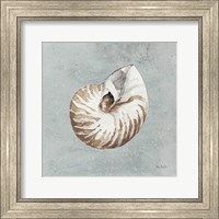 Framed 'Sand and Seashells I' border=