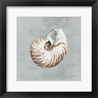 Sand and Seashells I Framed Print
