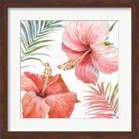 Framed Tropical Blush III