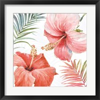 Framed 'Tropical Blush III' border=