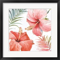 Tropical Blush III Framed Print