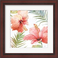 Framed 'Tropical Blush II' border=