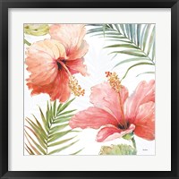 Framed 'Tropical Blush II' border=