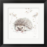 A Woodland Walk XII Framed Print