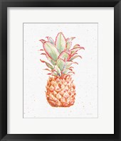 Framed Gracefully Blush Pineapple XI
