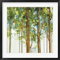 Forest Study IX Framed Print