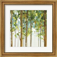 Framed 'Forest Study VIII' border=