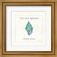 Framed 'Sea Treasures VI' border=