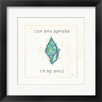 Sea Treasures VI Framed Print