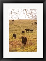 Framed Fall Field II