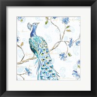 Framed Peacock Allegory III White