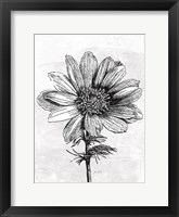 Spa Botanical IV BW Crop Framed Print