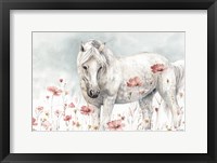 Wild Horses II Framed Print