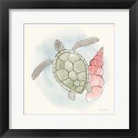 Framed Sea Life IV