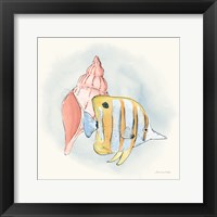 Framed Sea Life I