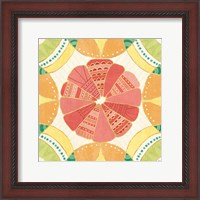 Framed 'Citrus Splash VII' border=