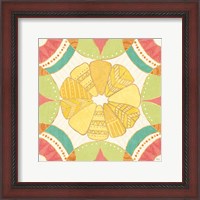 Framed 'Citrus Splash IX' border=