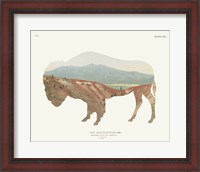 Framed 'American Southwest Buffalo' border=