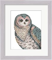 Framed Beautiful Owls IV Pastel