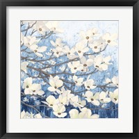 Dogwood Blossoms II Indigo Framed Print