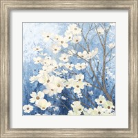 Framed Dogwood Blossoms I Indigo