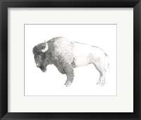 Framed Bison Dark