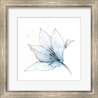 Framed 'Blue Graphite Flower IX' border=