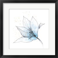 Framed 'Blue Graphite Flower IX' border=