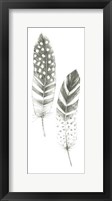 Feather Sketches VIII Framed Print