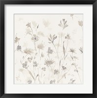 Garden Shadows II Framed Print