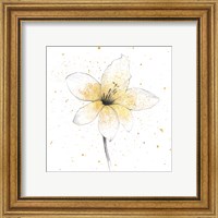 Framed 'Gilded Graphite Floral II' border=